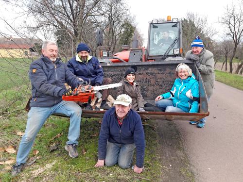 Aktionen: Holz machen 4