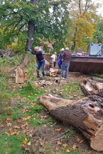 Aktionen: Kirchgarten aufräumen 4