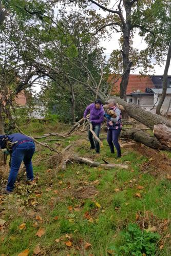Aktionen: Kirchgarten aufräumen 6